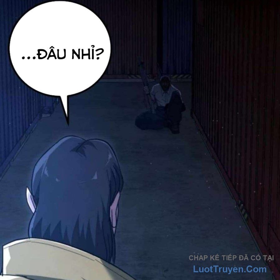 Chapter 20