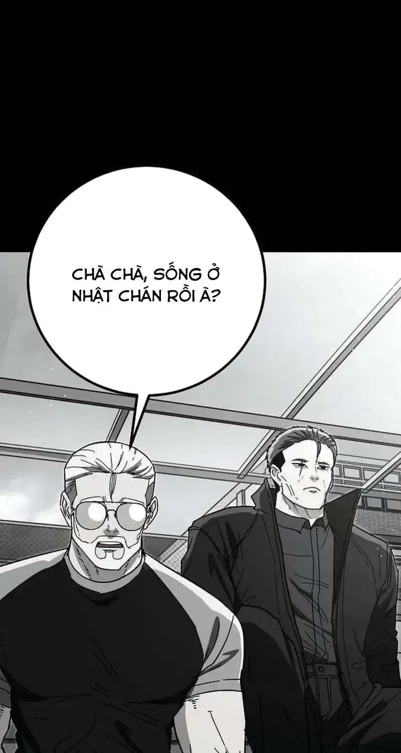 Chapter 26