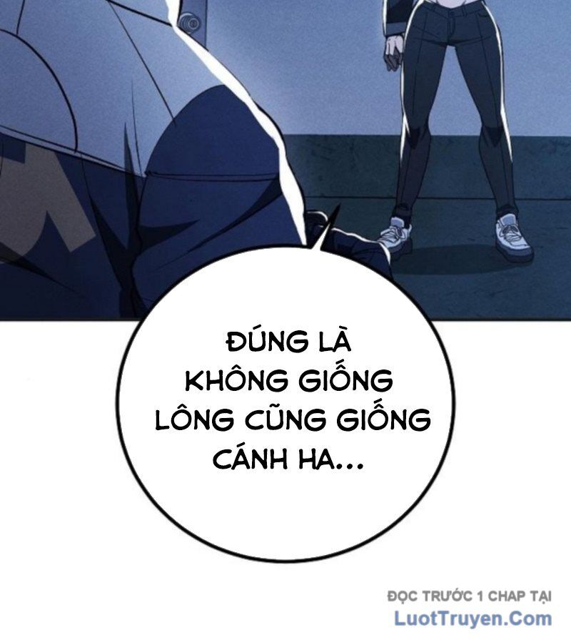 Chapter 7