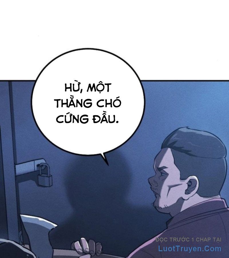 Chapter 7