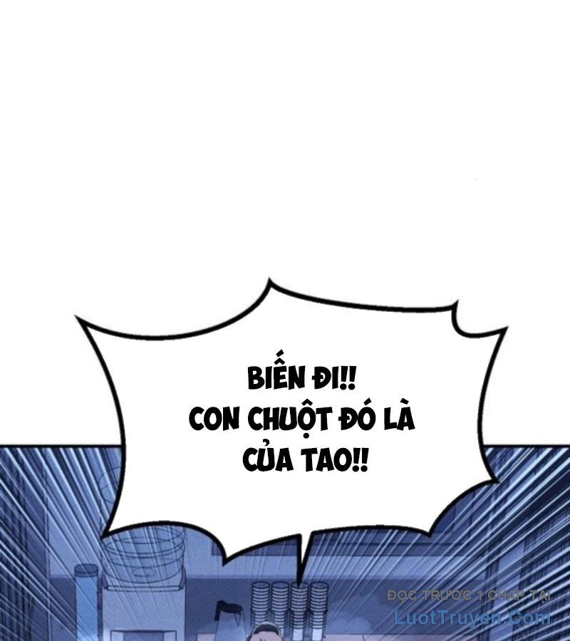 Chapter 7