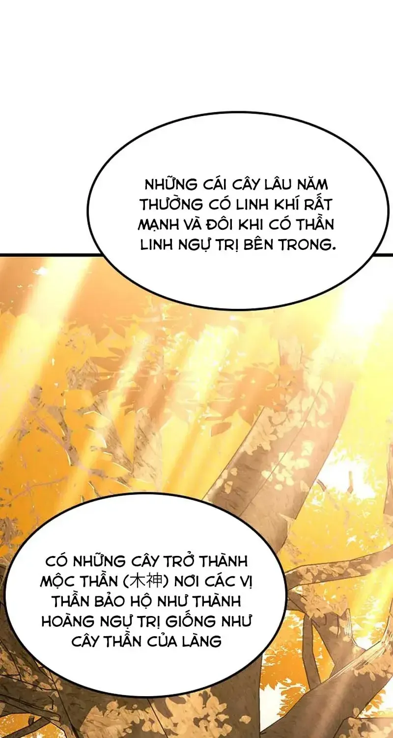 Chapter 26
