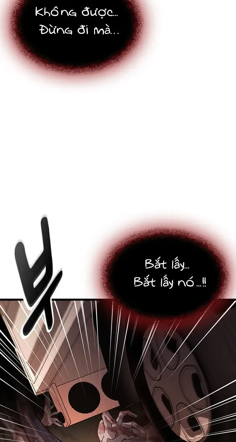 Chapter 27