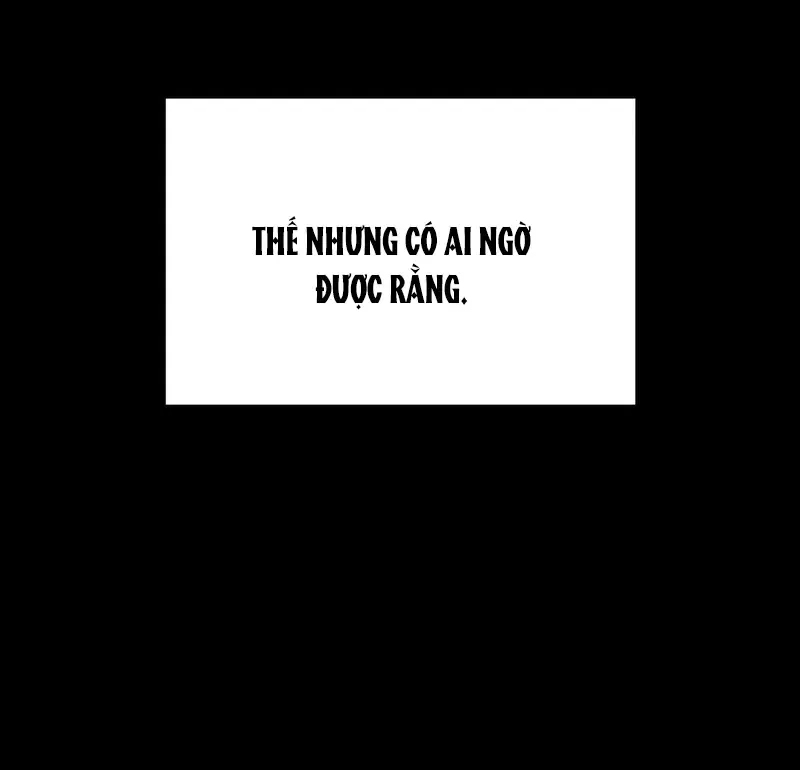 Chapter 28