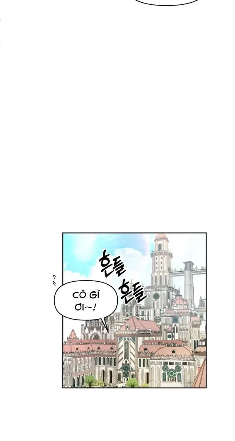 Chapter 1
