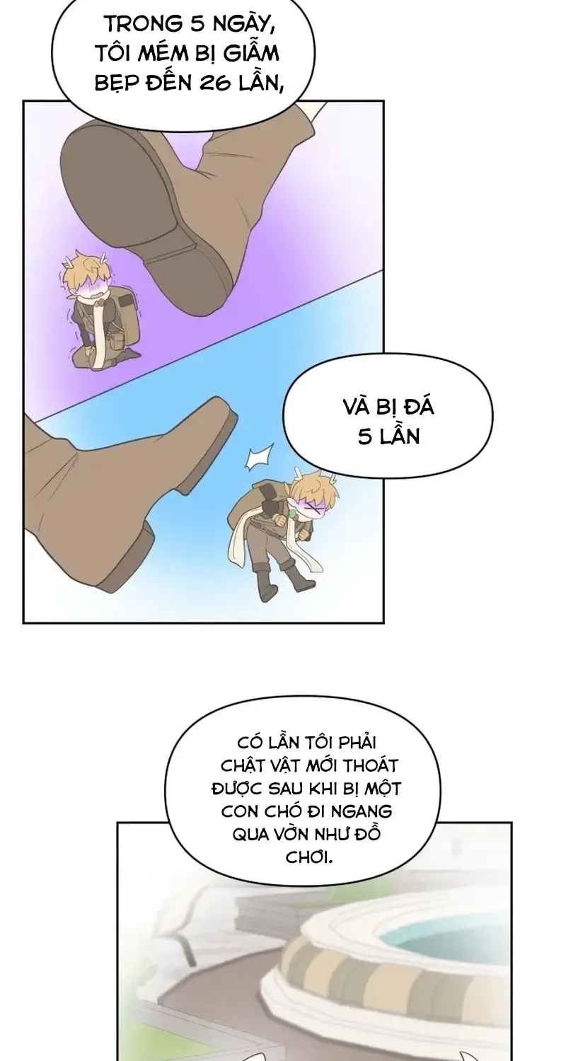 Chapter 1