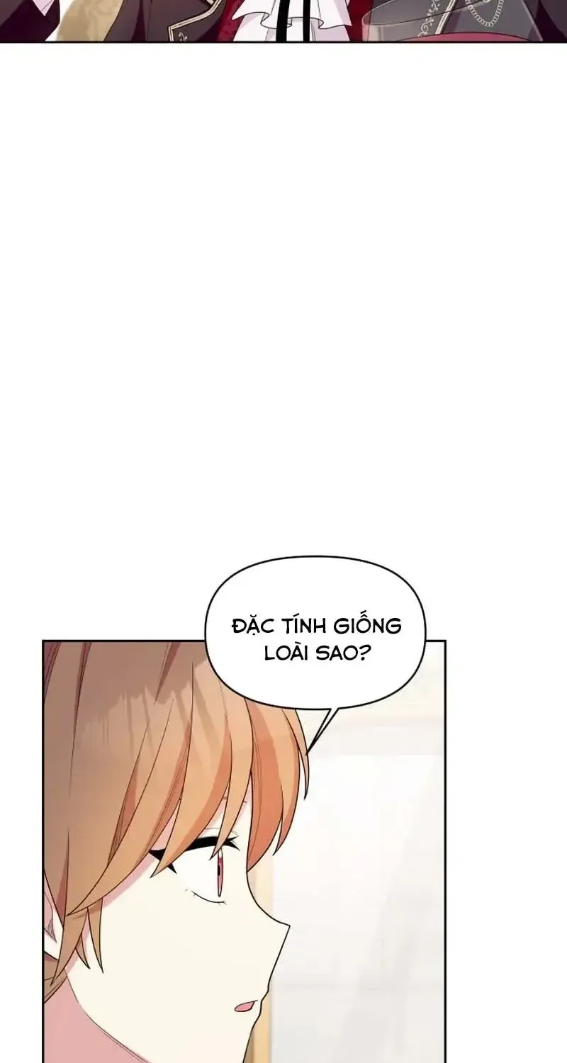 Chapter 2