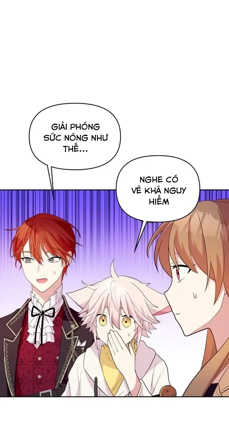 Chapter 3