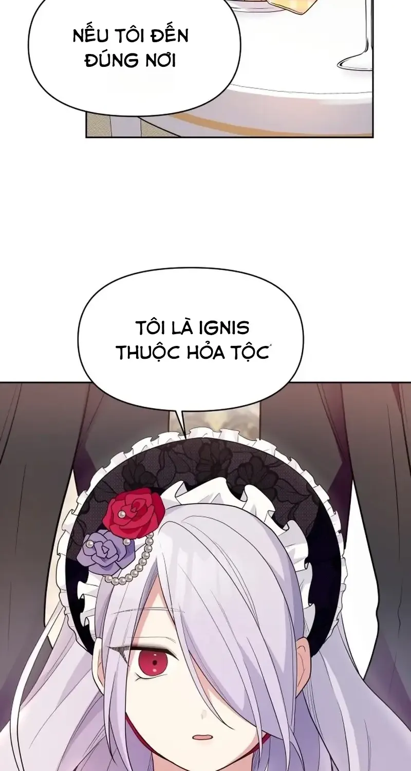 Chapter 3