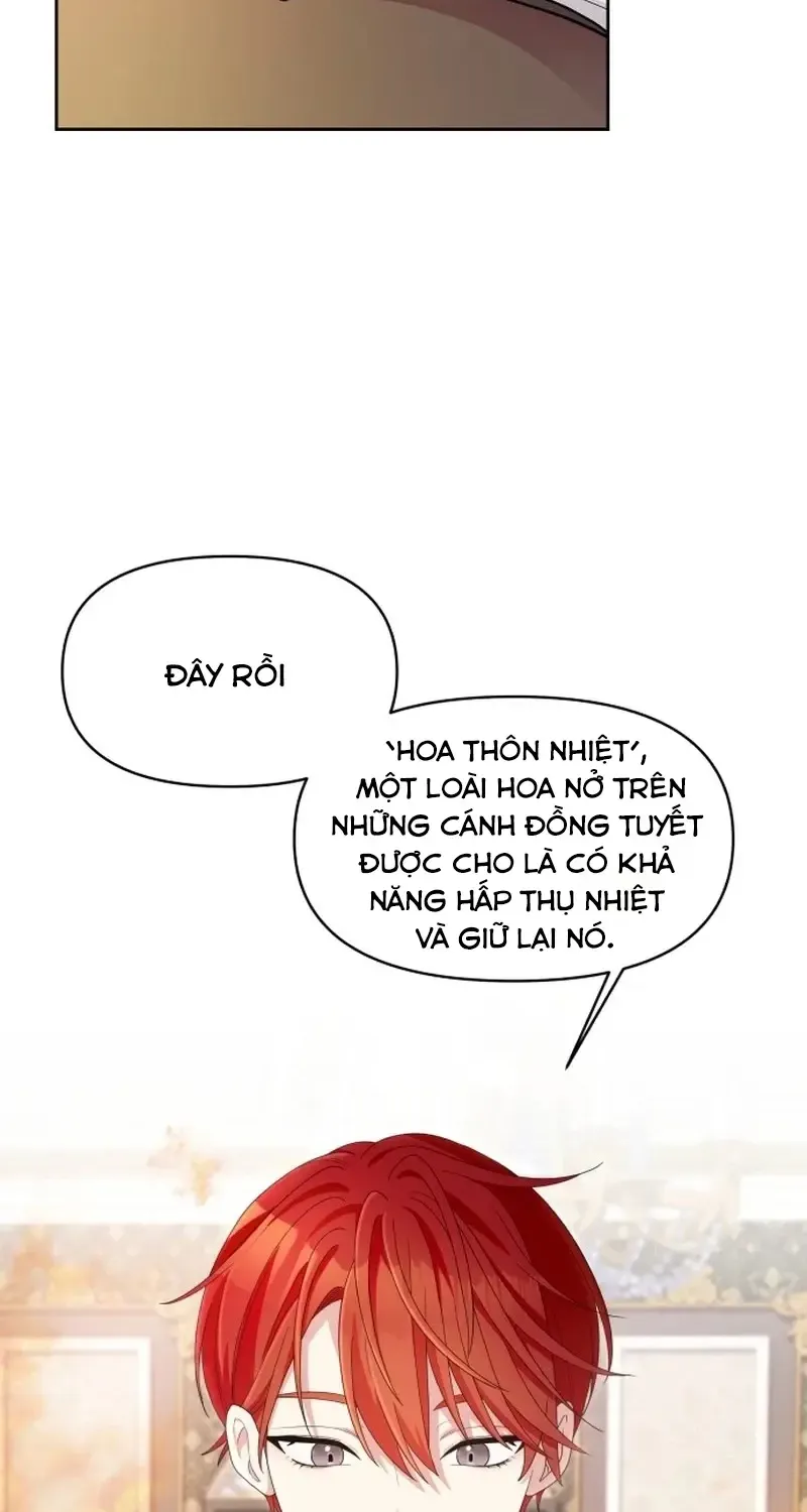 Chapter 3