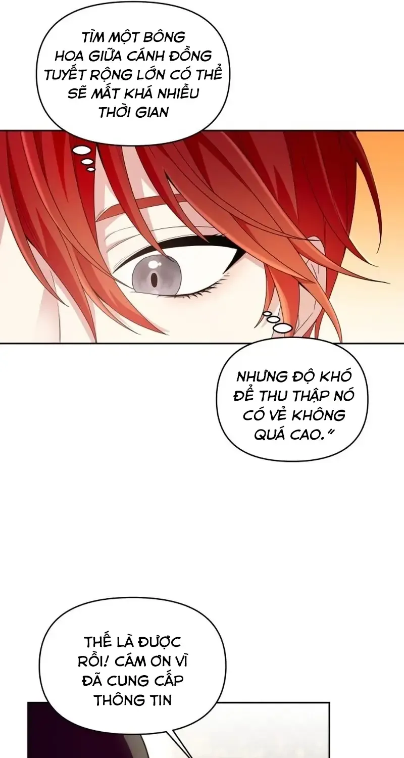 Chapter 3