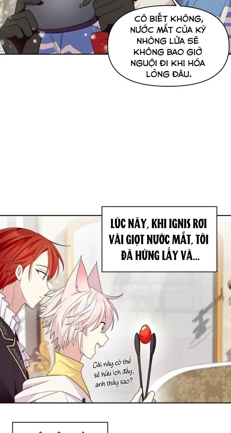 Chapter 4