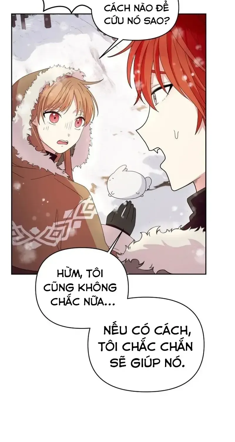 Chapter 4