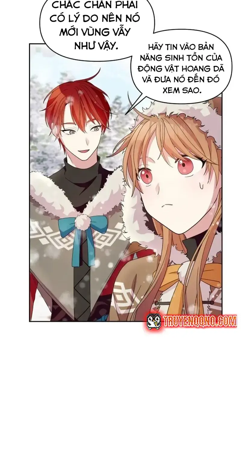 Chapter 4