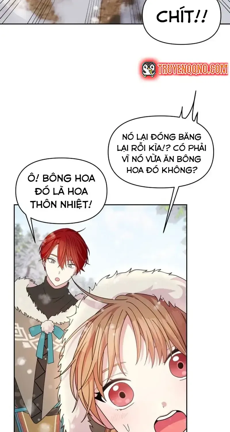 Chapter 4