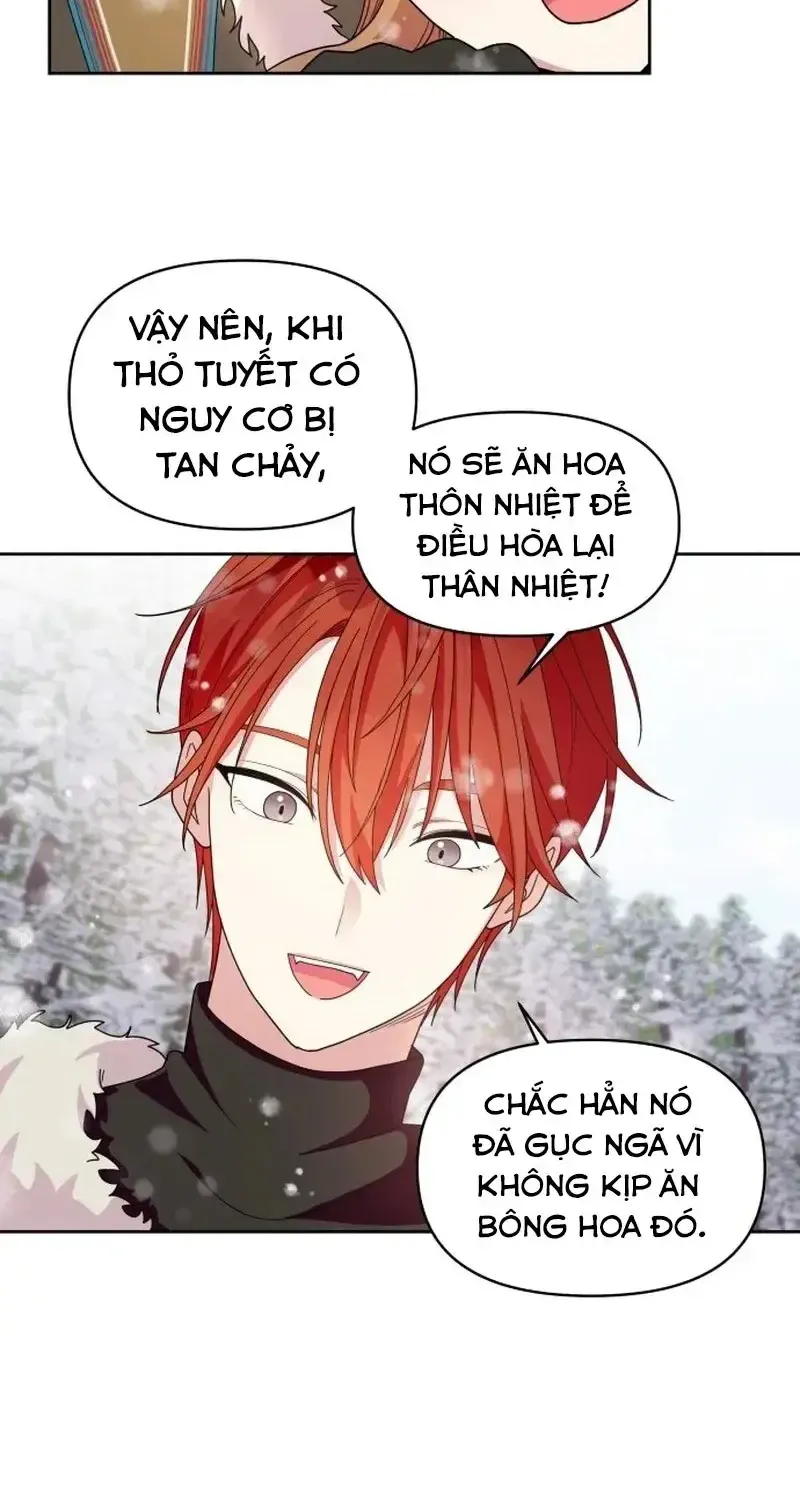 Chapter 4