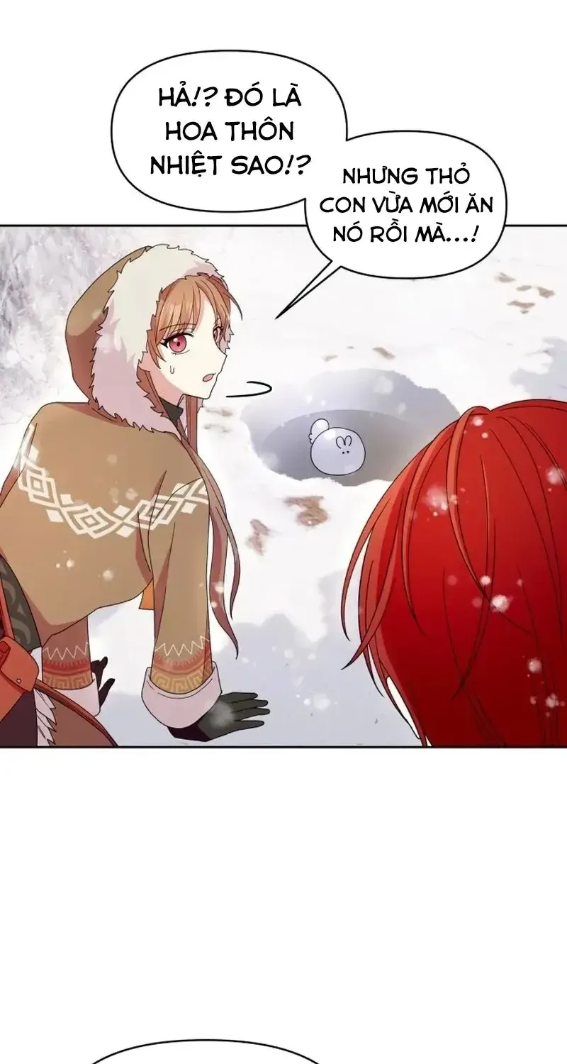 Chapter 4