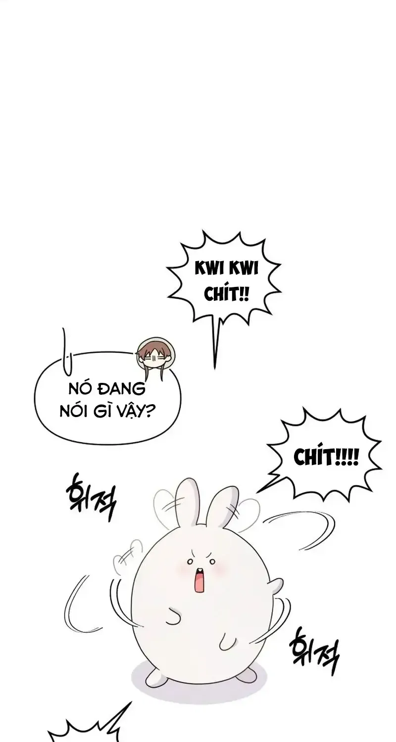 Chapter 4
