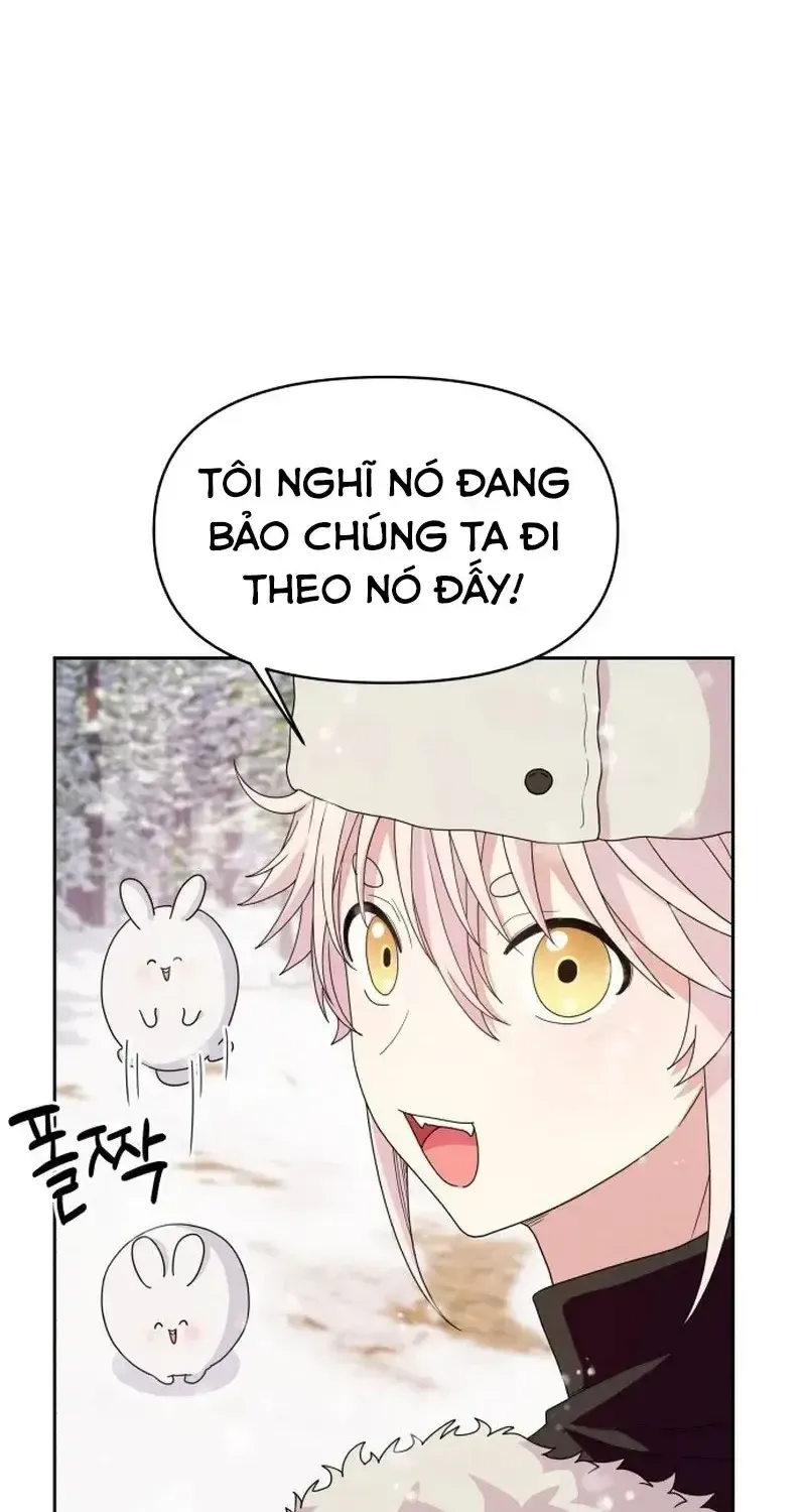 Chapter 4