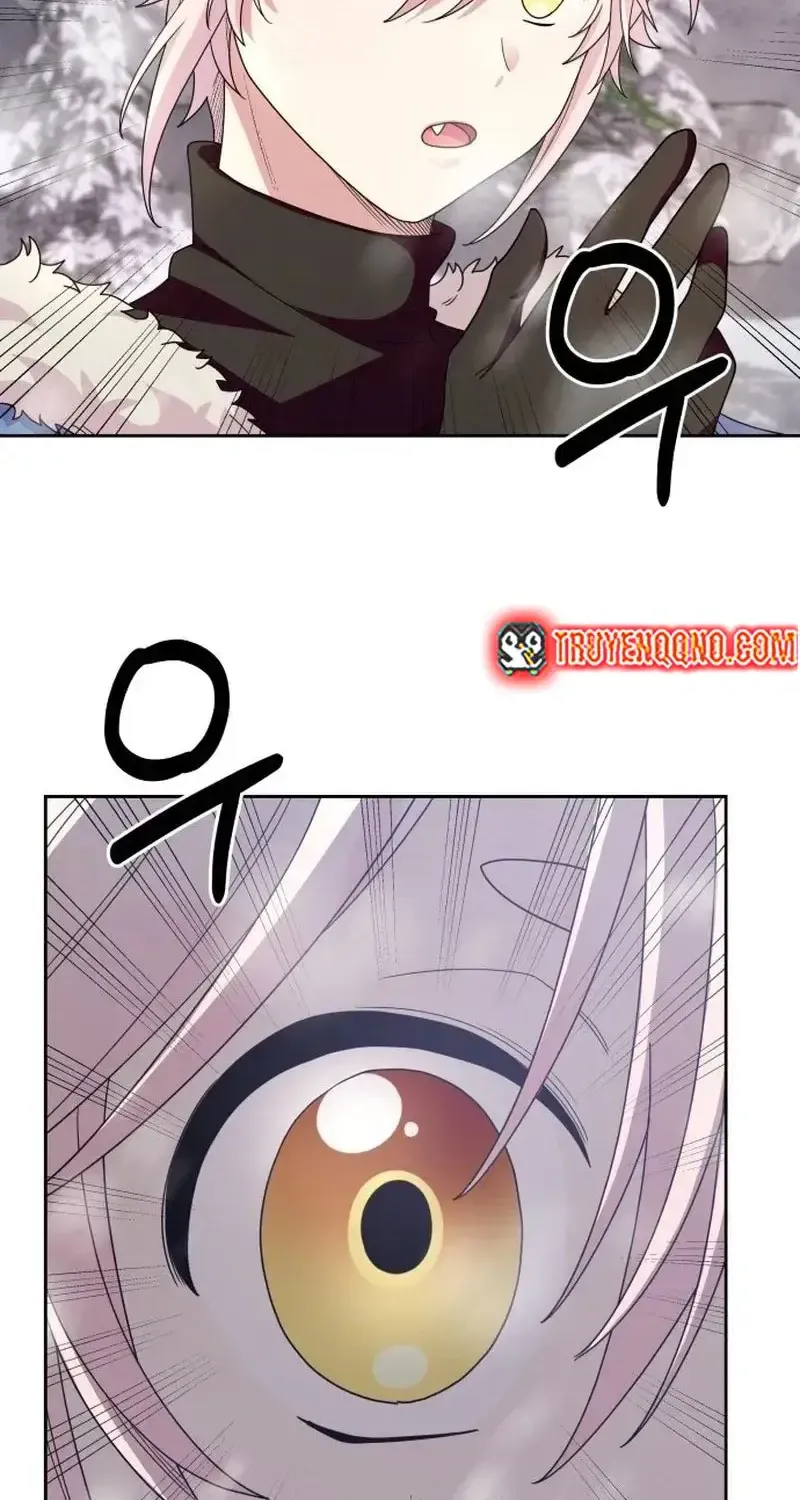 Chapter 5