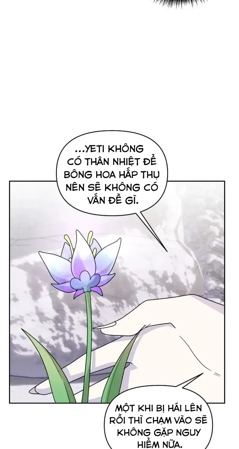 Chapter 5