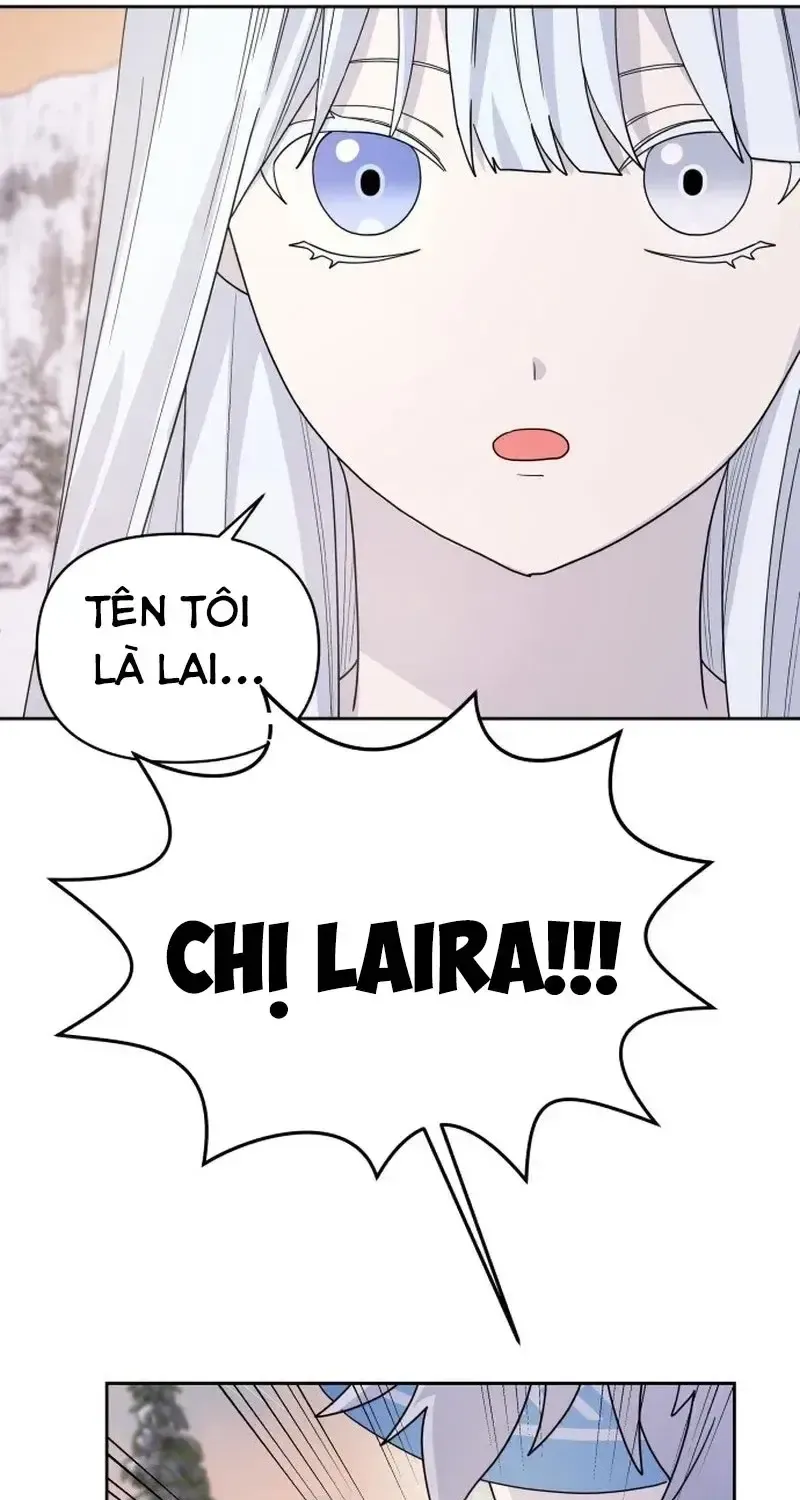 Chapter 5