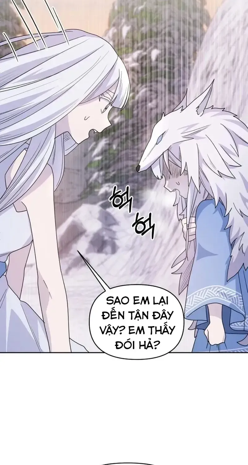 Chapter 5