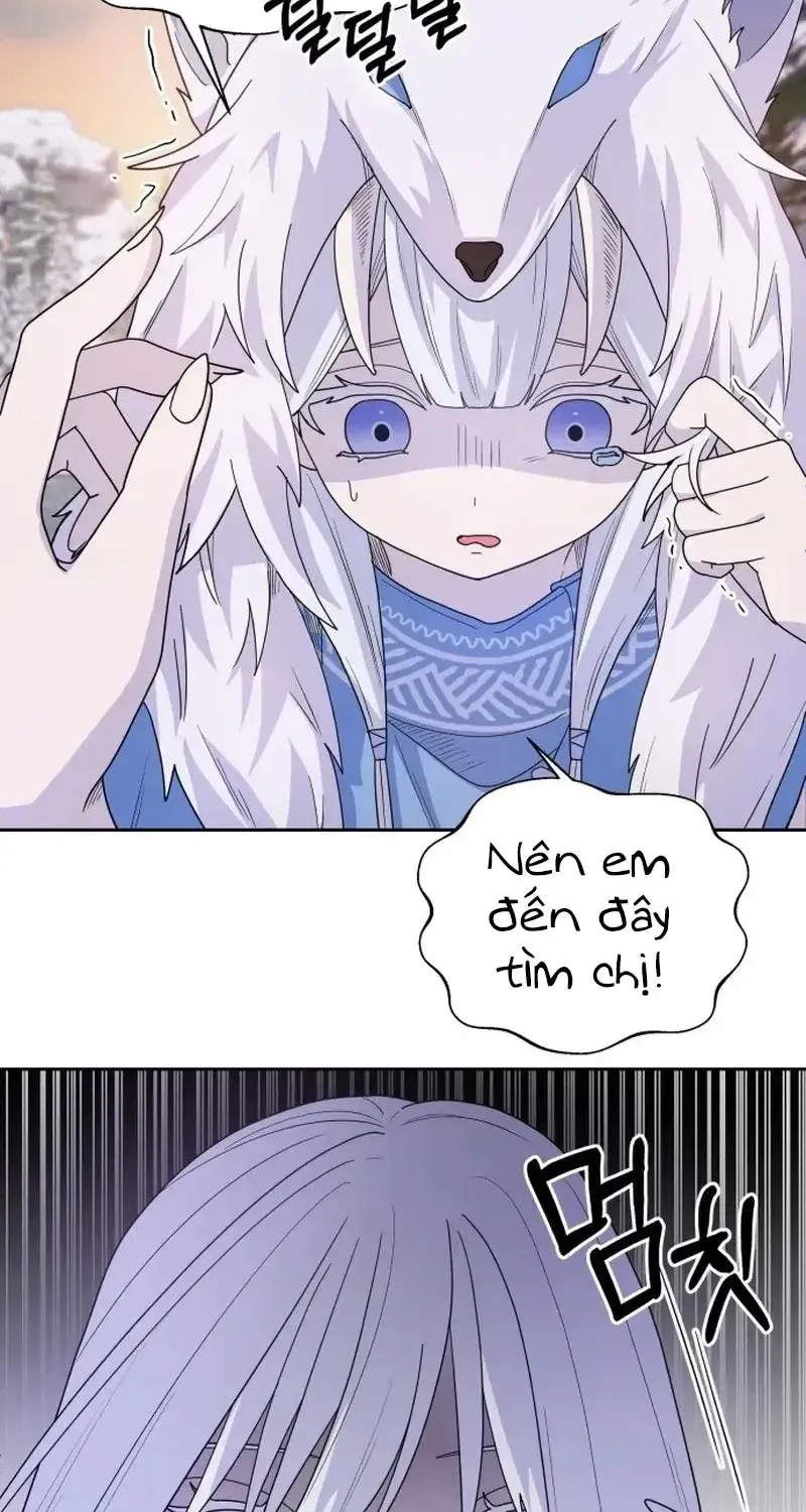 Chapter 5
