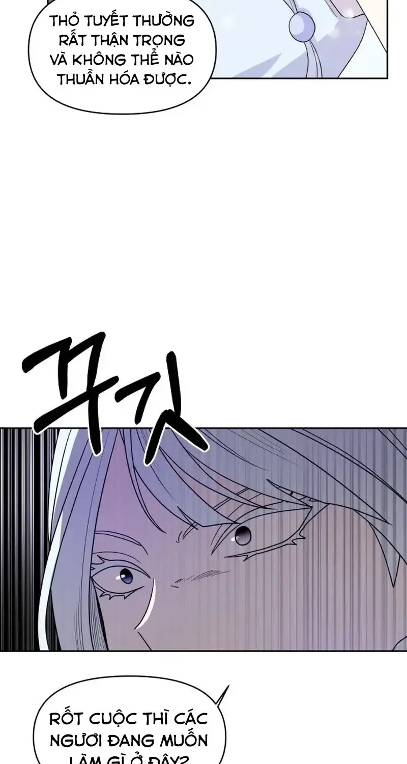 Chapter 5