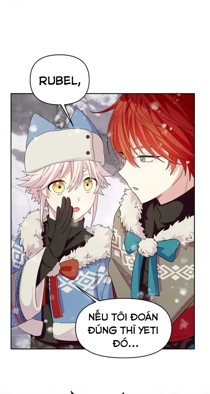 Chapter 5