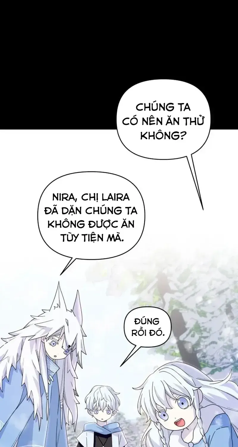 Chapter 6