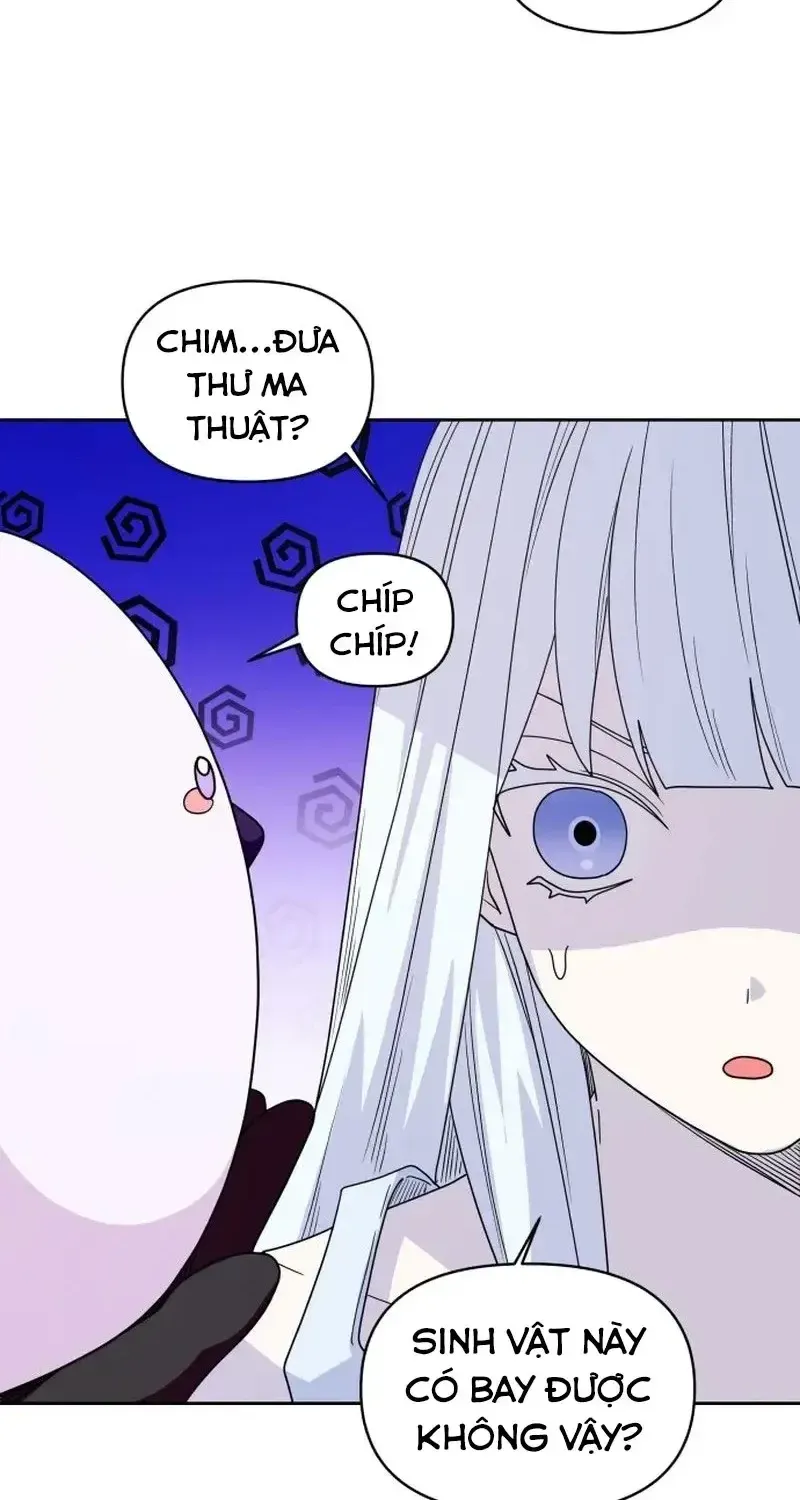 Chapter 6