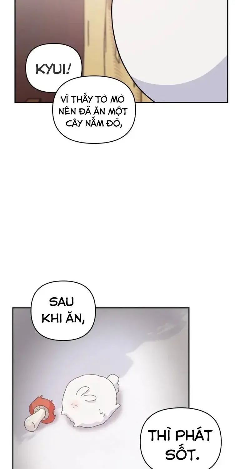Chapter 6