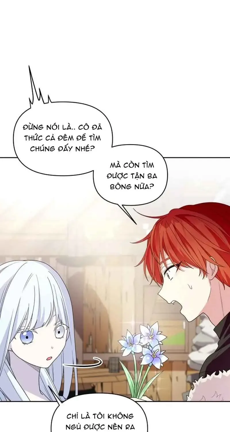 Chapter 7