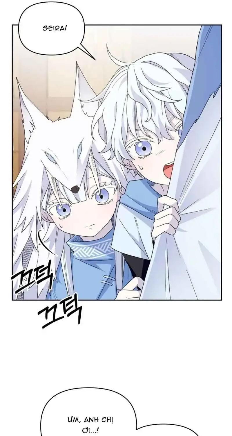 Chapter 7