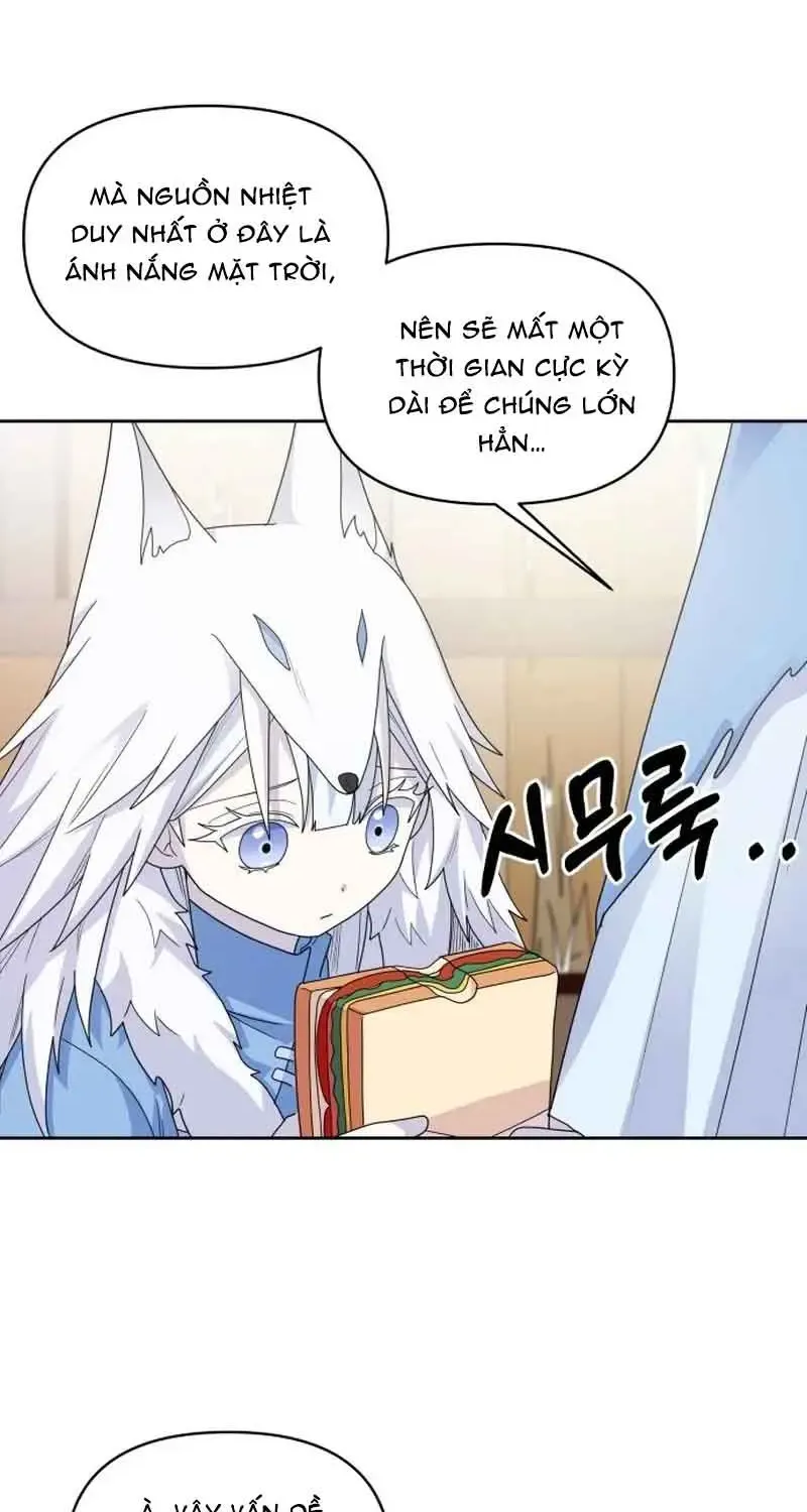 Chapter 7