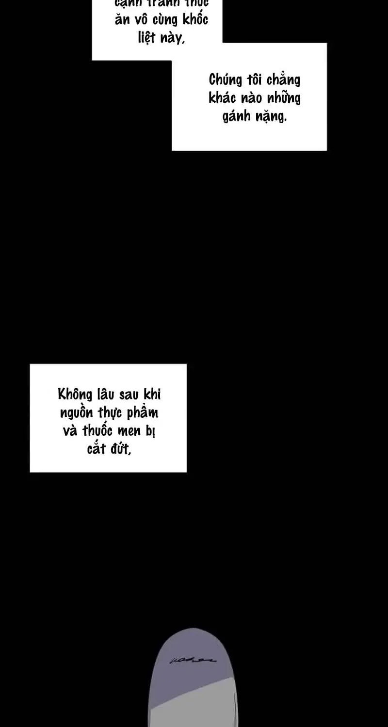 Chapter 7