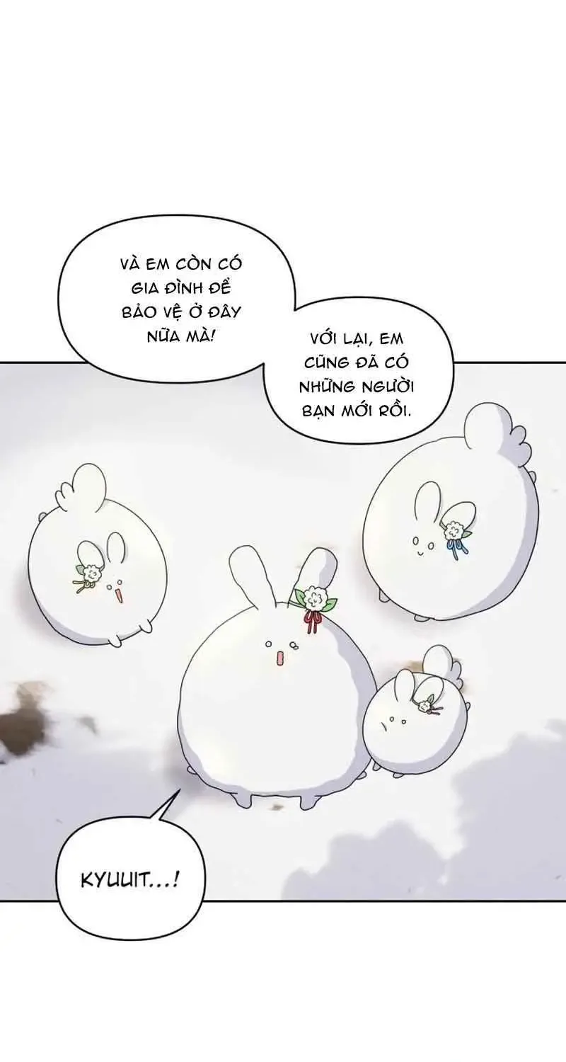 Chapter 7