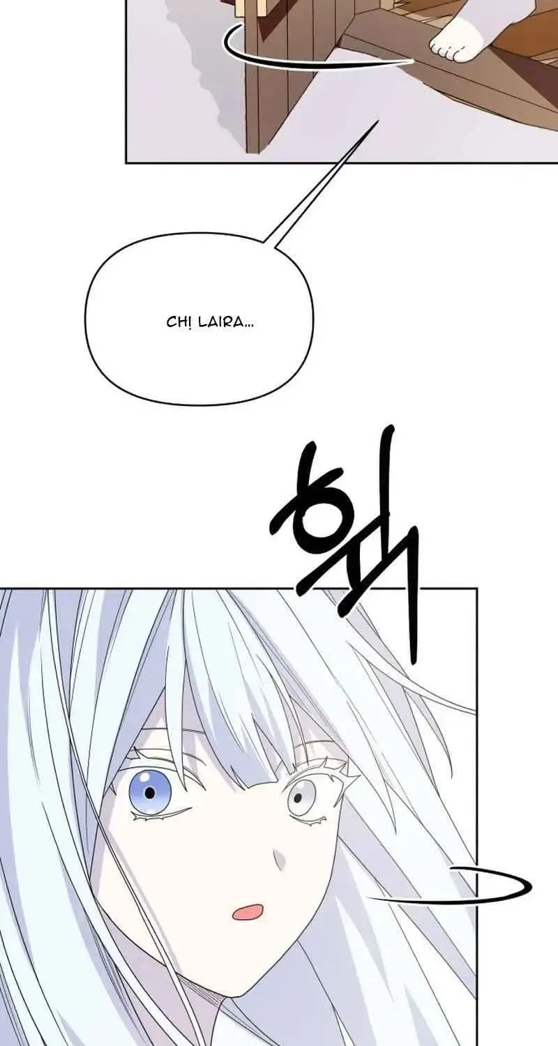 Chapter 7