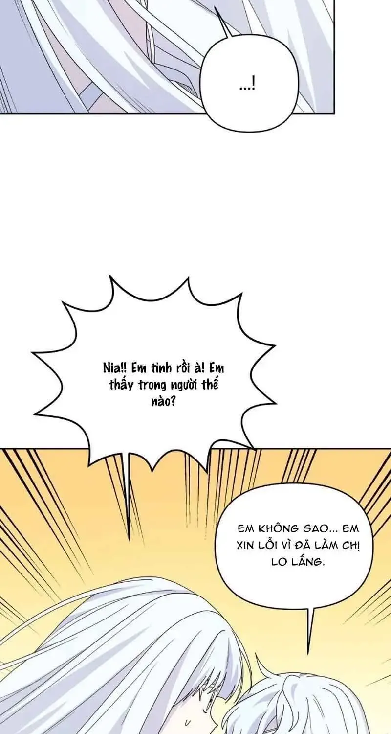 Chapter 7
