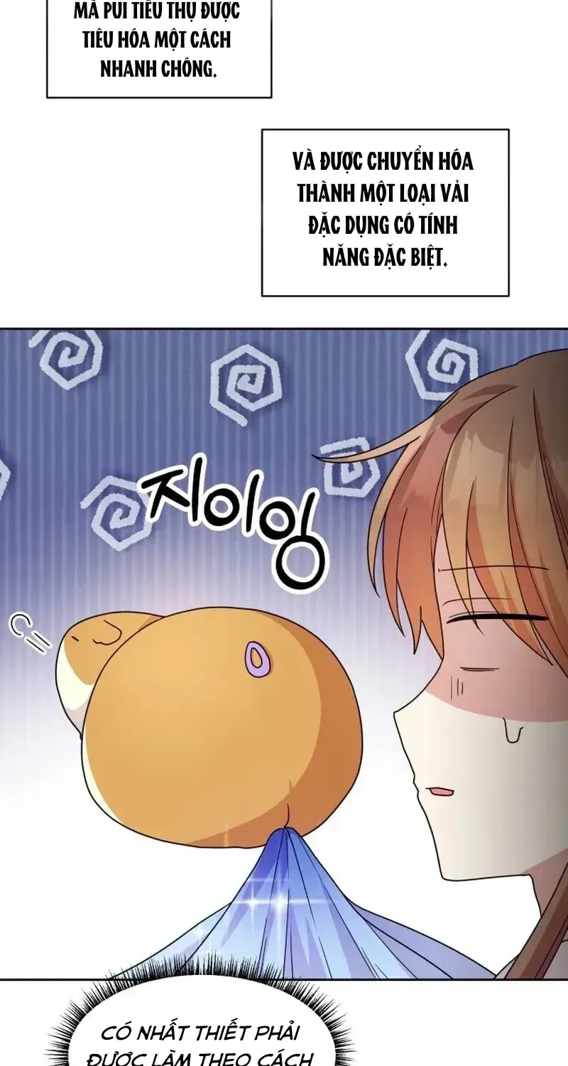Chapter 8