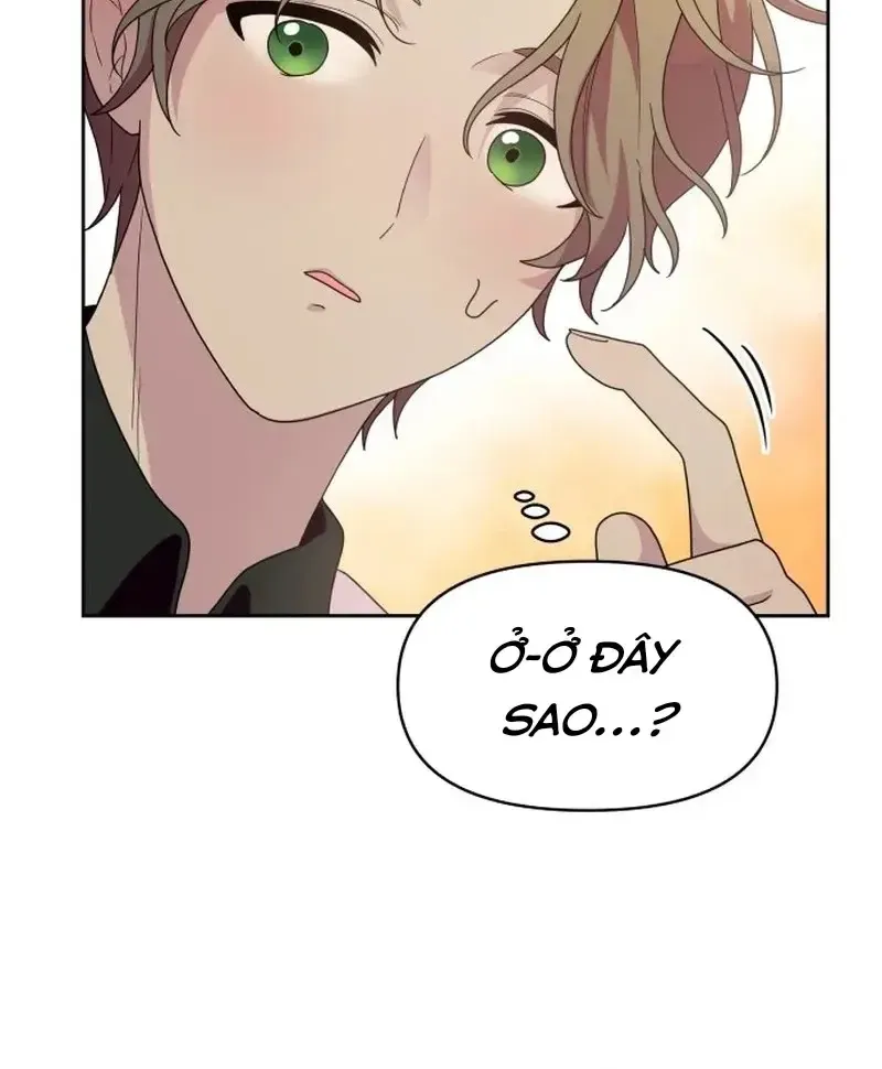 Chapter 8