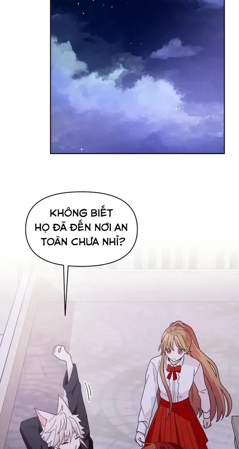 Chapter 8