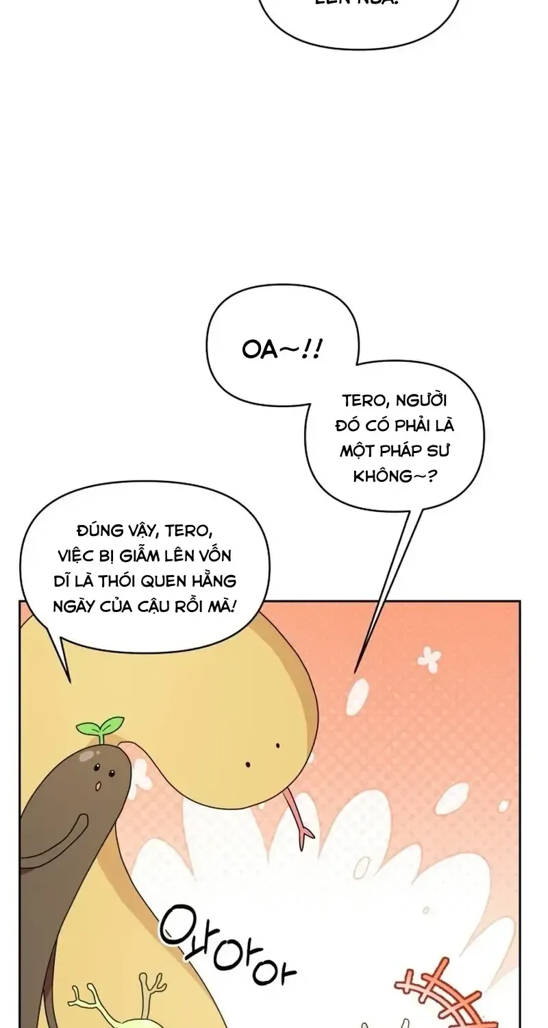 Chapter 9