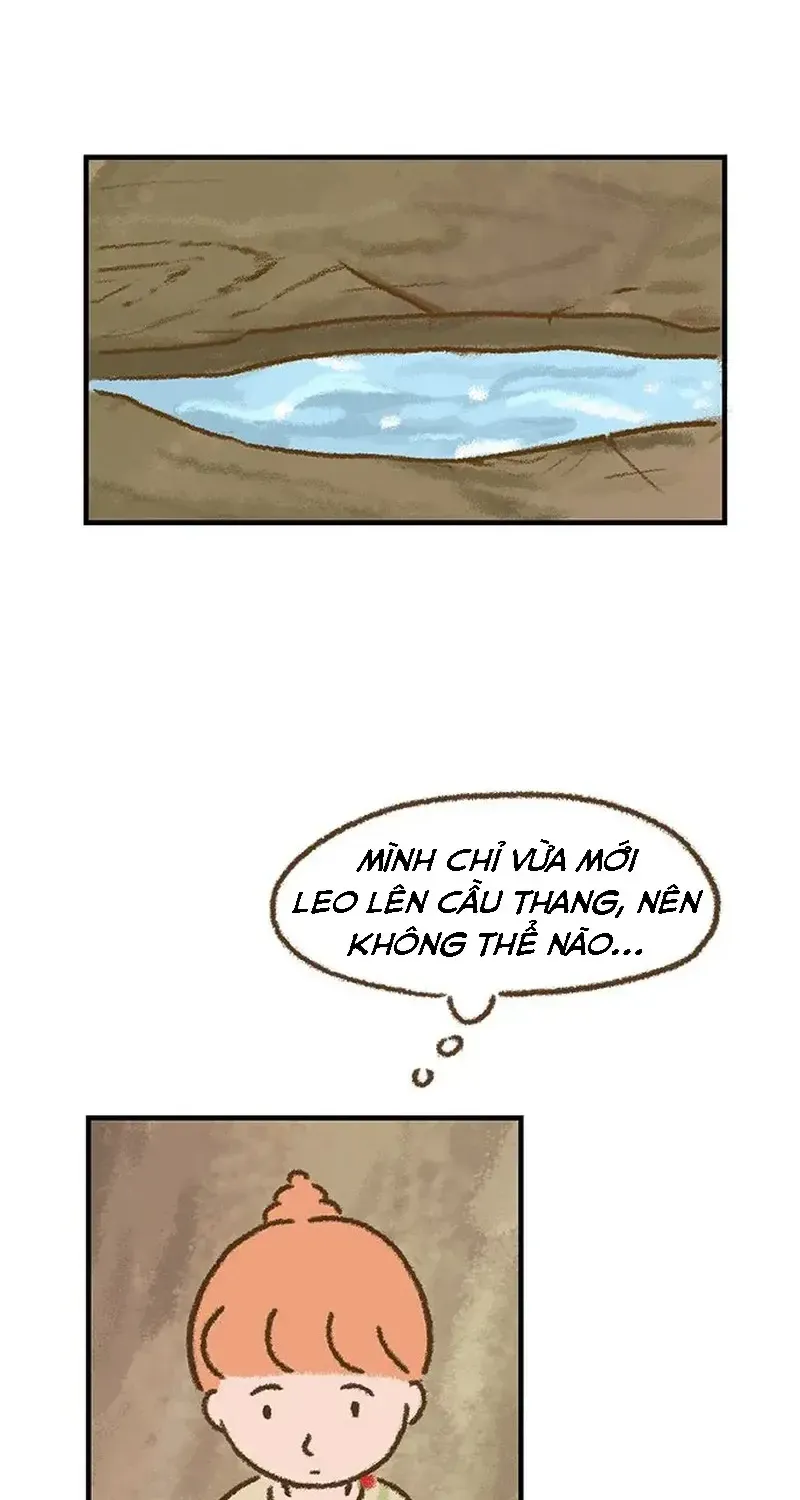Chapter 1