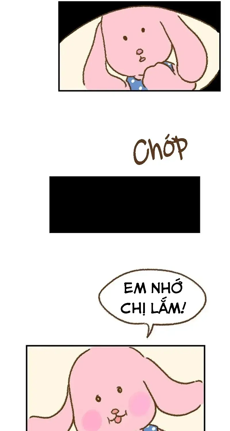 Chapter 1