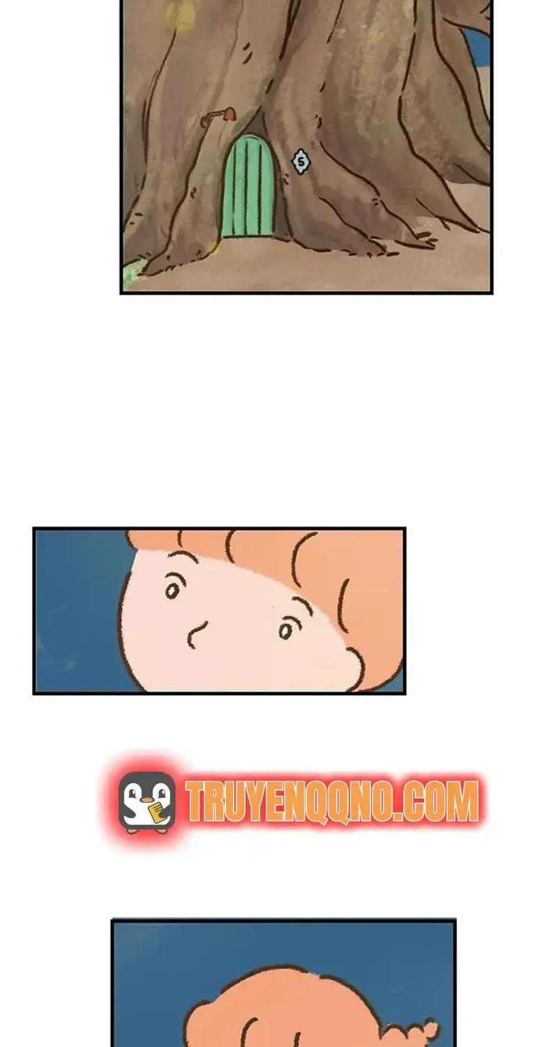 Chapter 1