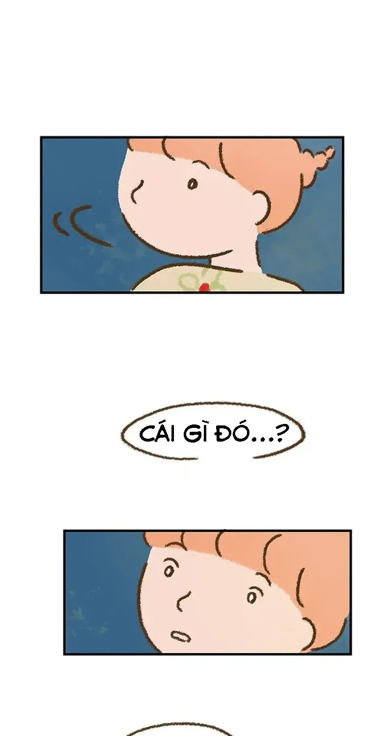 Chapter 1