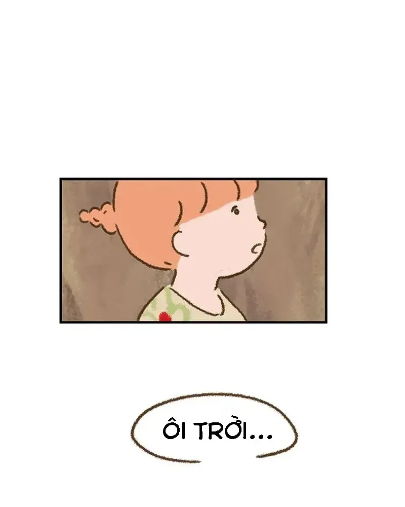 Chapter 1