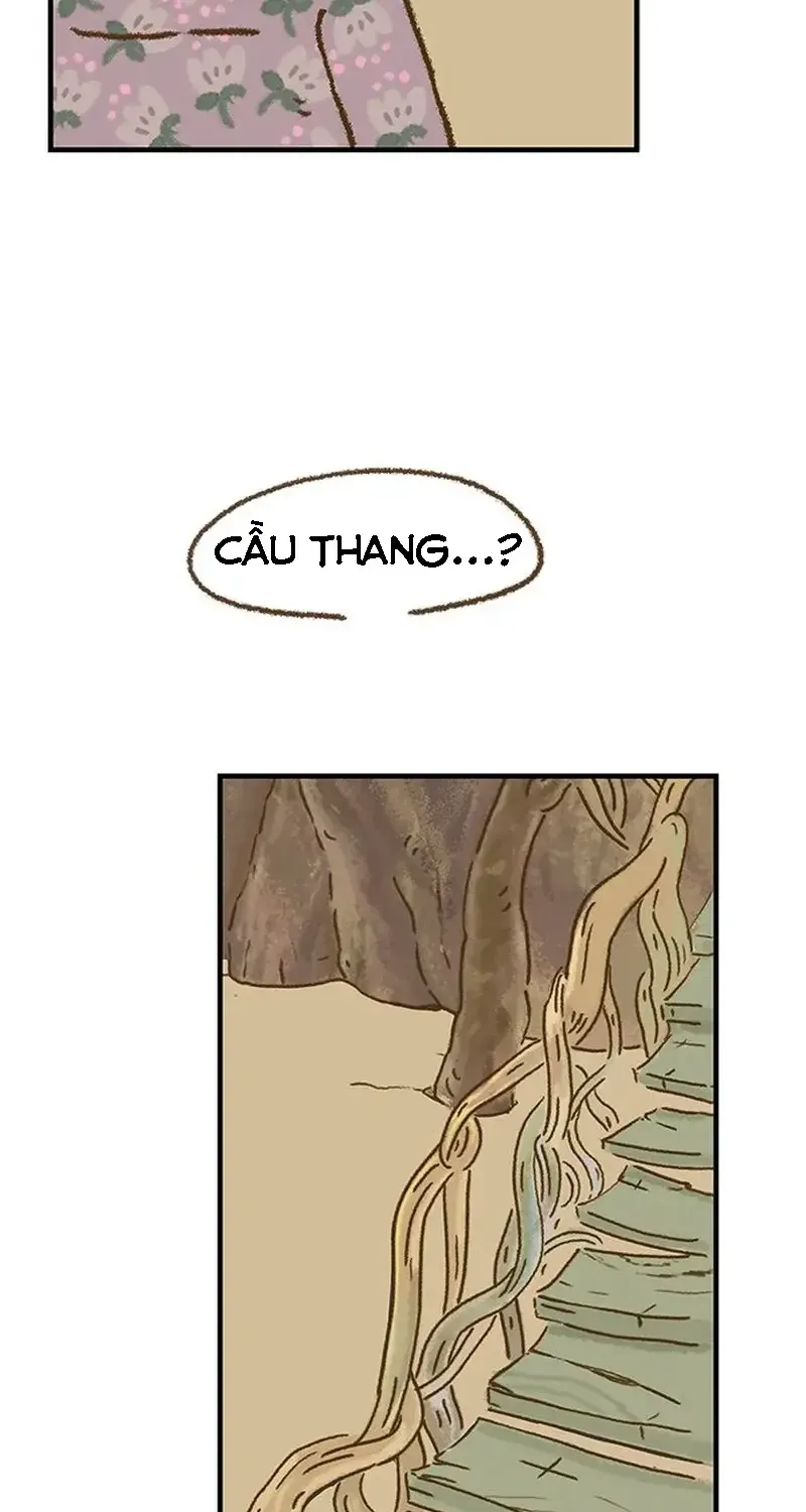 Chapter 1